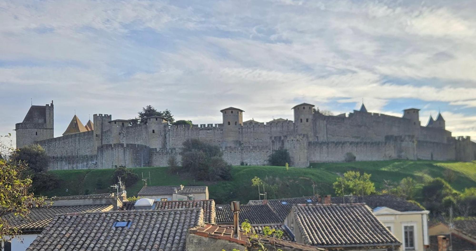 Vue Cite Medievale Castel View Carcassonne Zewnętrze zdjęcie