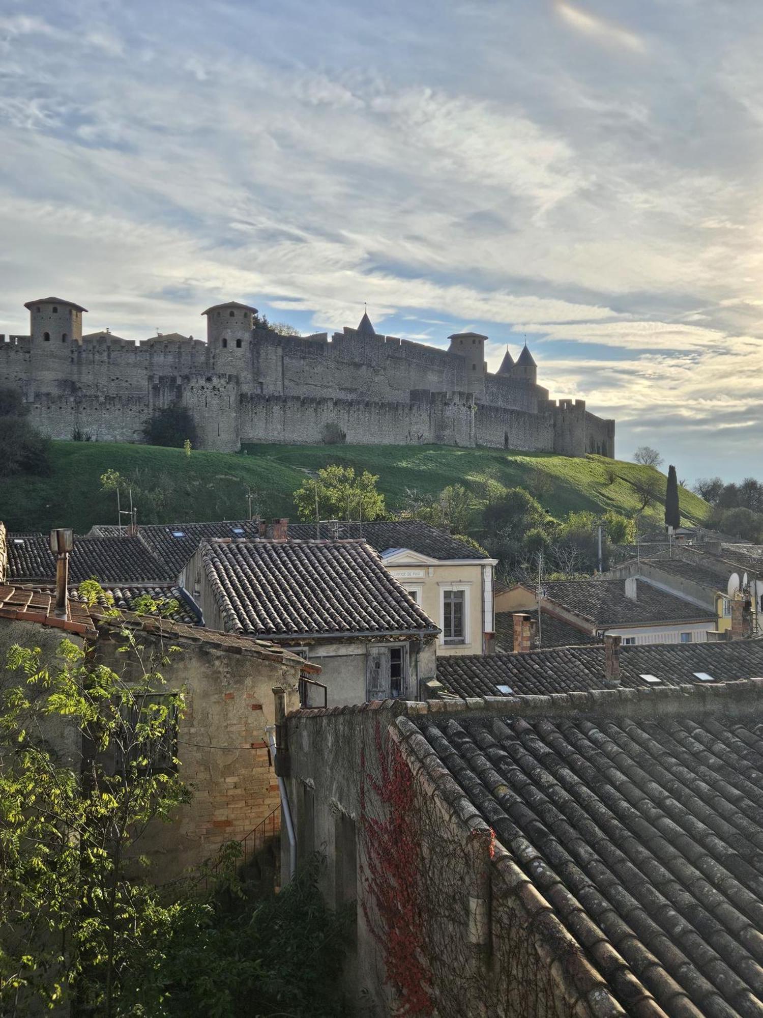 Vue Cite Medievale Castel View Carcassonne Zewnętrze zdjęcie