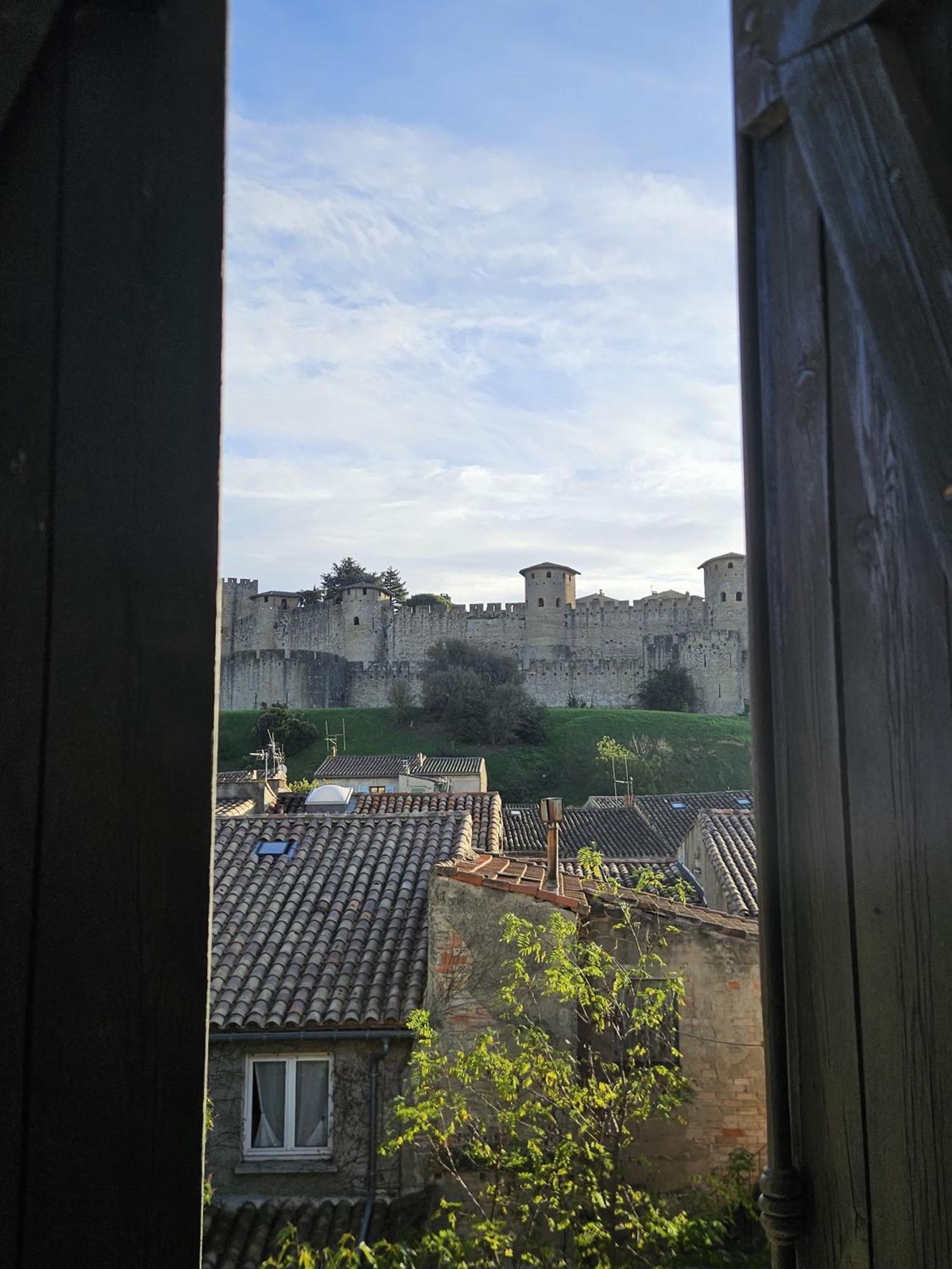 Vue Cite Medievale Castel View Carcassonne Zewnętrze zdjęcie